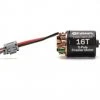 Spektrum Firma 16T Rebuildable 5-Pole Brushed Crawler Motor -Spektrum Sales Shop M SPMXSM5165 1
